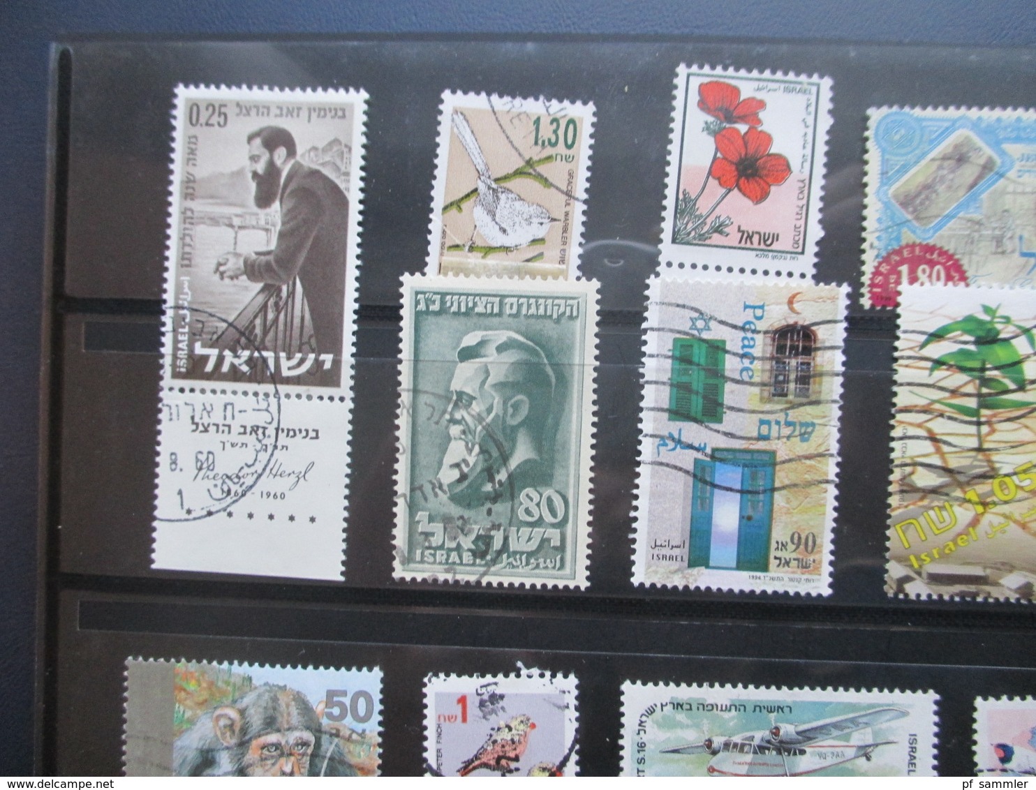 Slg. Naher Osten 1950er - 2013 mit etl. Blocks / Randstücken / tolle Motive!! Israel, Jordanien, Syrien, Palästina.