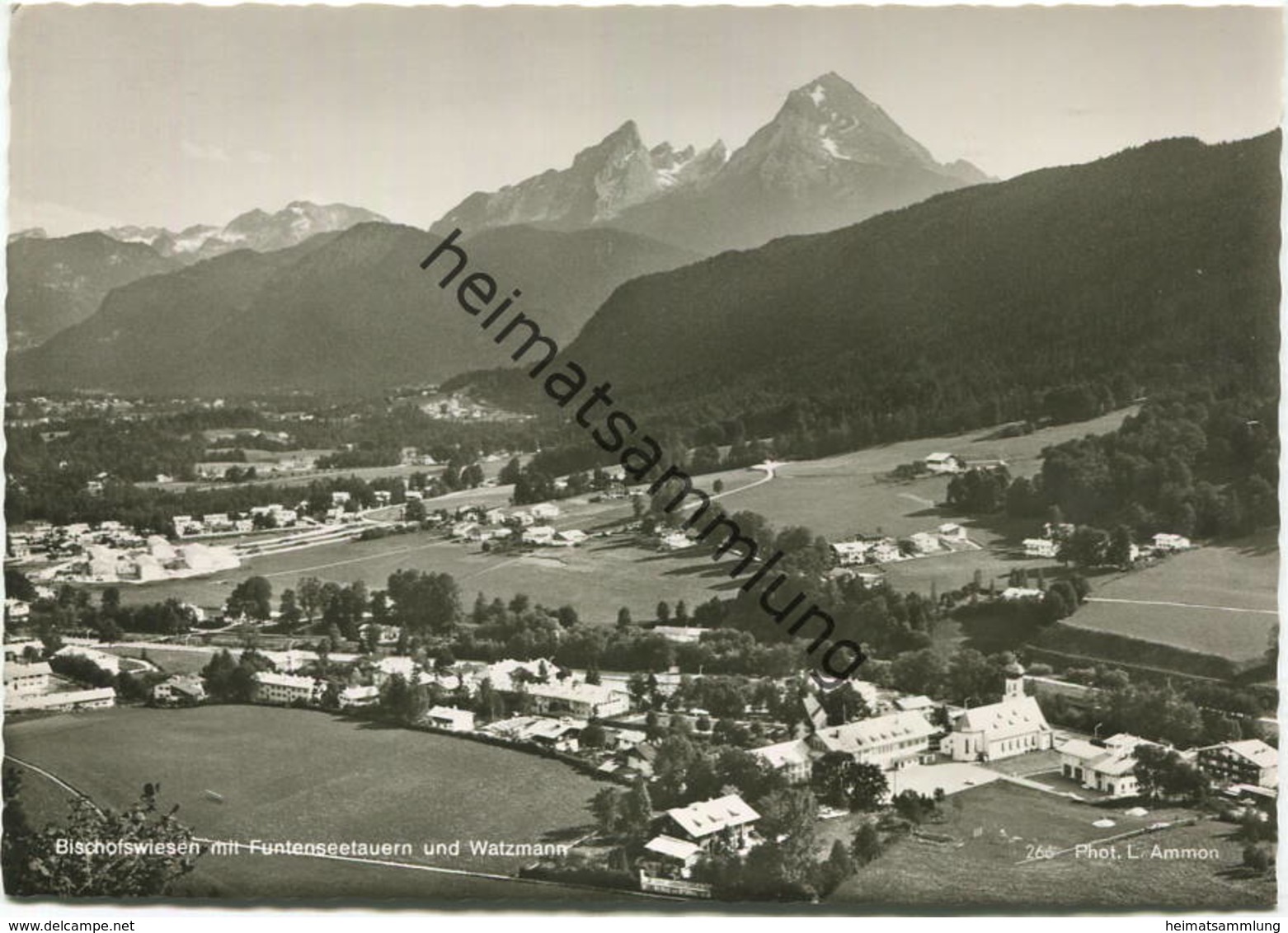 Bischofswiesen - Foto-AK Grossformat 60er Jahre - Verlag L. Ammon Berchtesgaden - Bischofswiesen