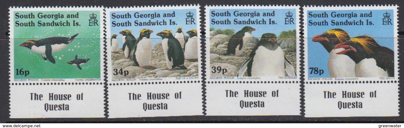 South Georgia 1993 Macaroni Penguins 4v (margn "House Of Questa") ** Mnh (41321B) - Zuid-Georgia