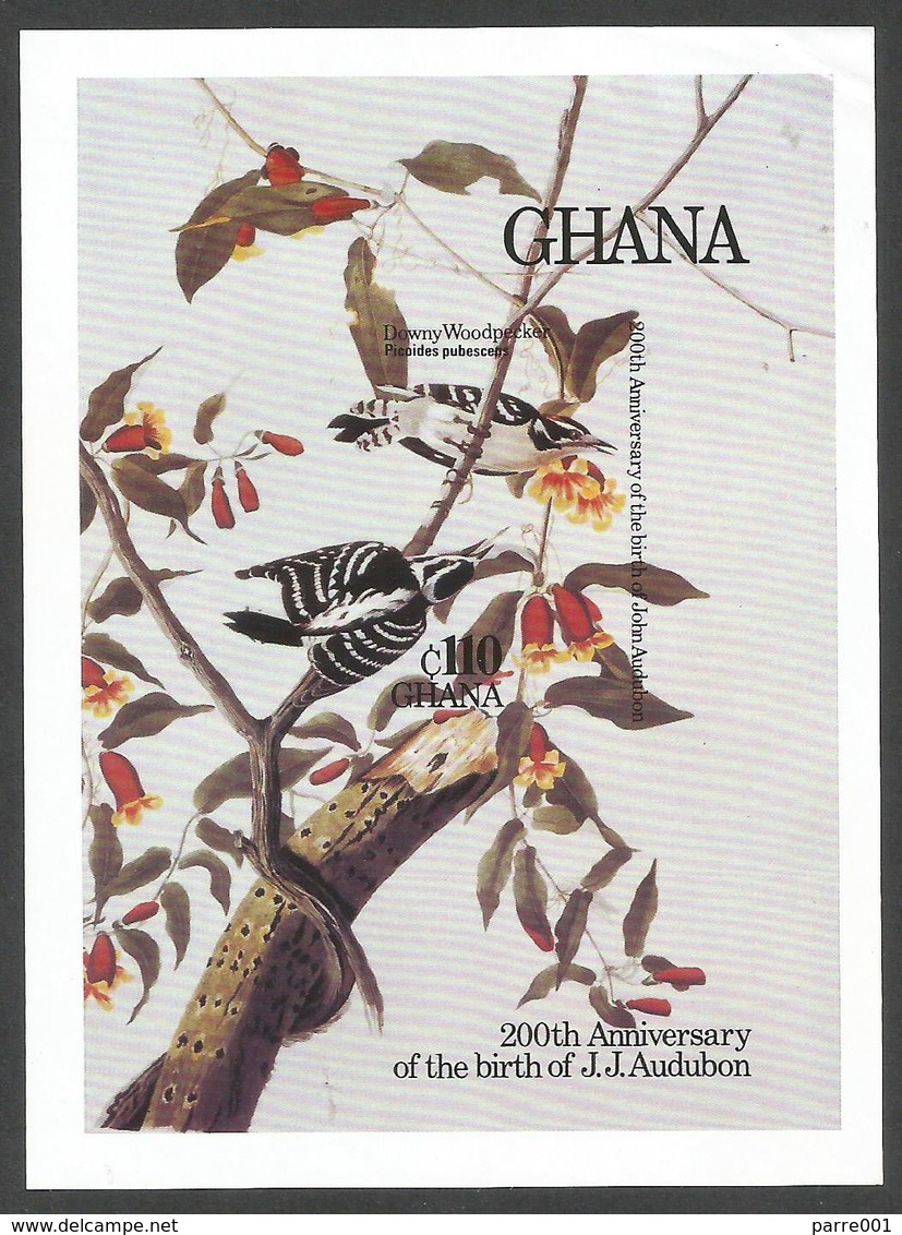 Ghana 1985 Audubon Downy Woodpecker Michel Block 119 Unperforated Mint - Spechten En Klimvogels