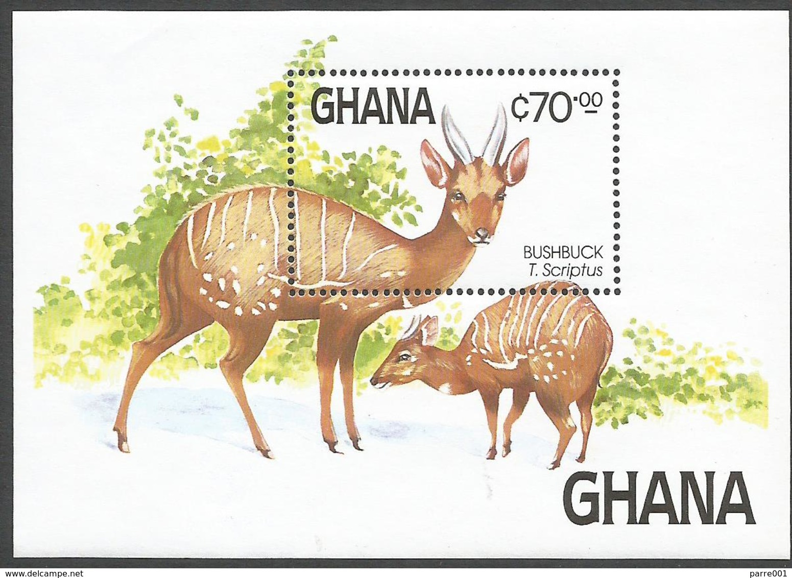 Ghana 1984 Buschbuck Tragelaphus Scriptus Michel Block 112 Mint - Game