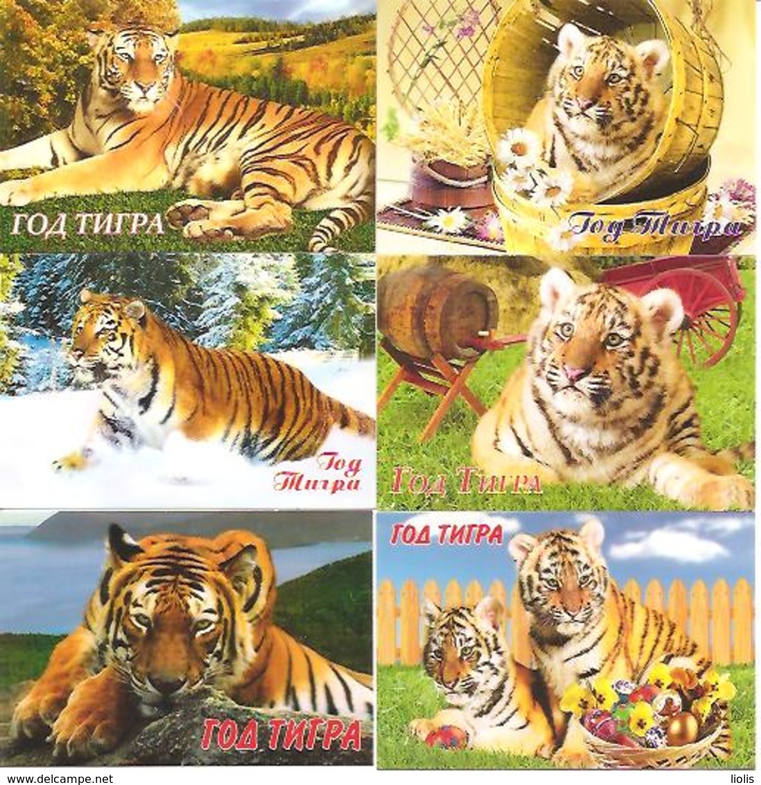 6 Packet Calendars  TIGERS  2010  Russia - Tamaño Pequeño : 2001-...