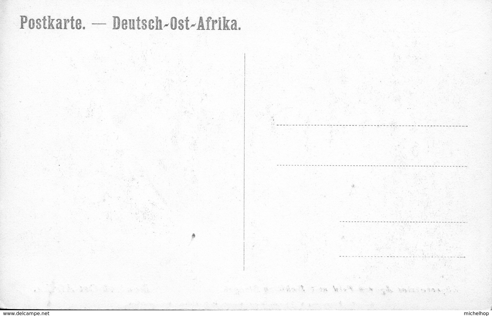 D.O.A. - Abgeerntetes Agaven-Feld Mit Bubillen-Stengel - Ehemalige Dt. Kolonien