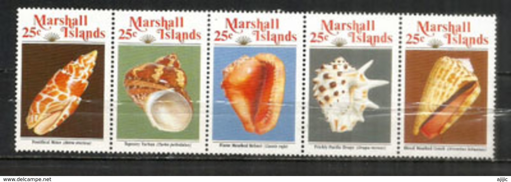 ILE MARSHALL  Ses Coquillages, Série Complète En Bande ,  5 Timbres Neufs ** - Marshall