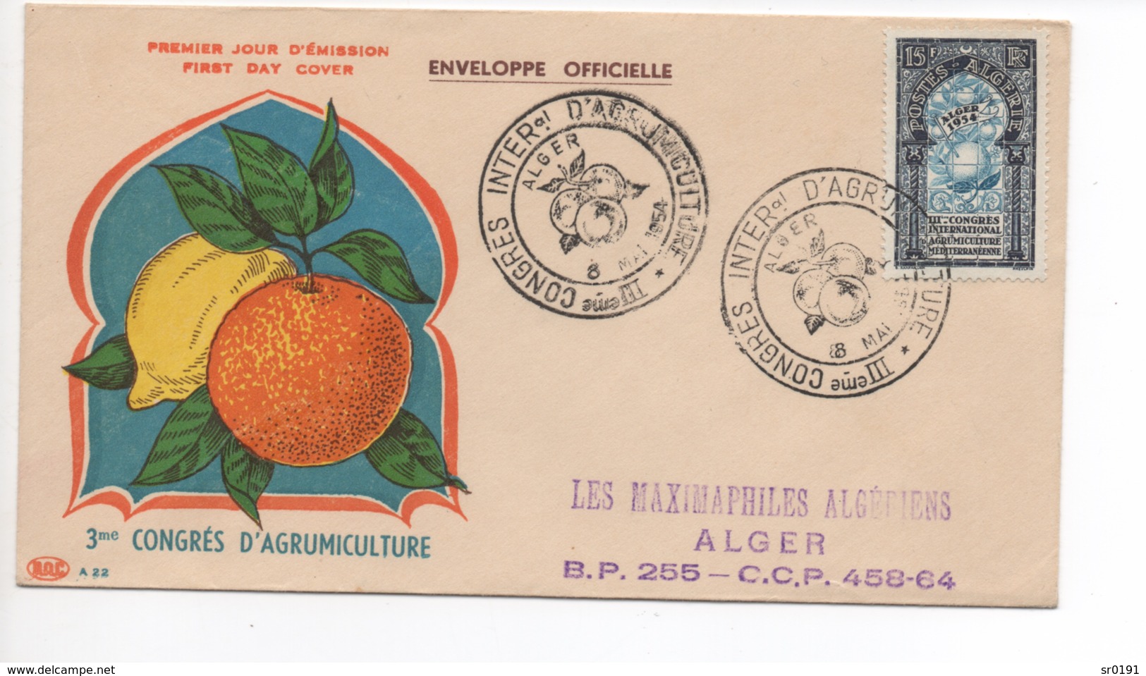 ALGERIE  PREMIER JOUR  CONGES D AGRUMICULTURE  MAI 1954 - Argelia (1962-...)