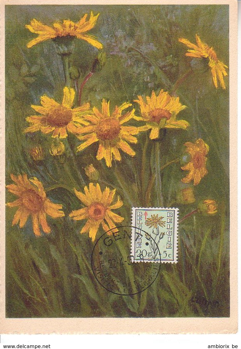 Carte Max 814 - 1905-1934