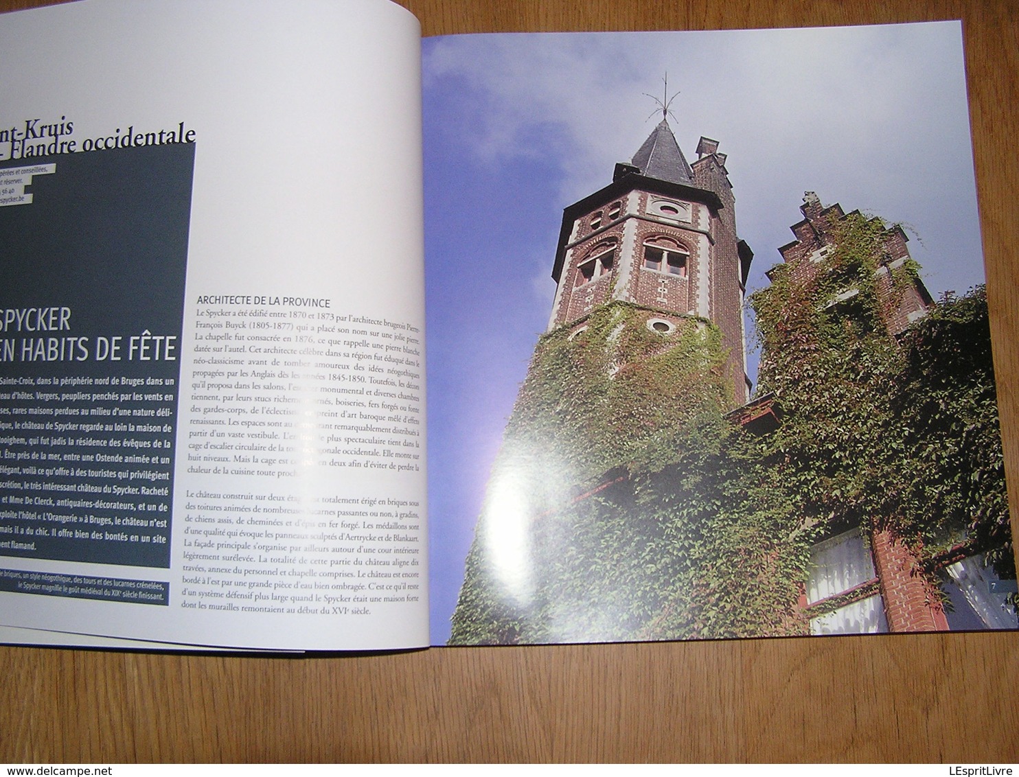 CHATEAUX ET MANOIRS DE CHARME EN BELGIQUE Farcy Régionalisme Ouvignes Attre Vervoz Halloy Sorinnes Godinne Ittre Boussu - Belgium