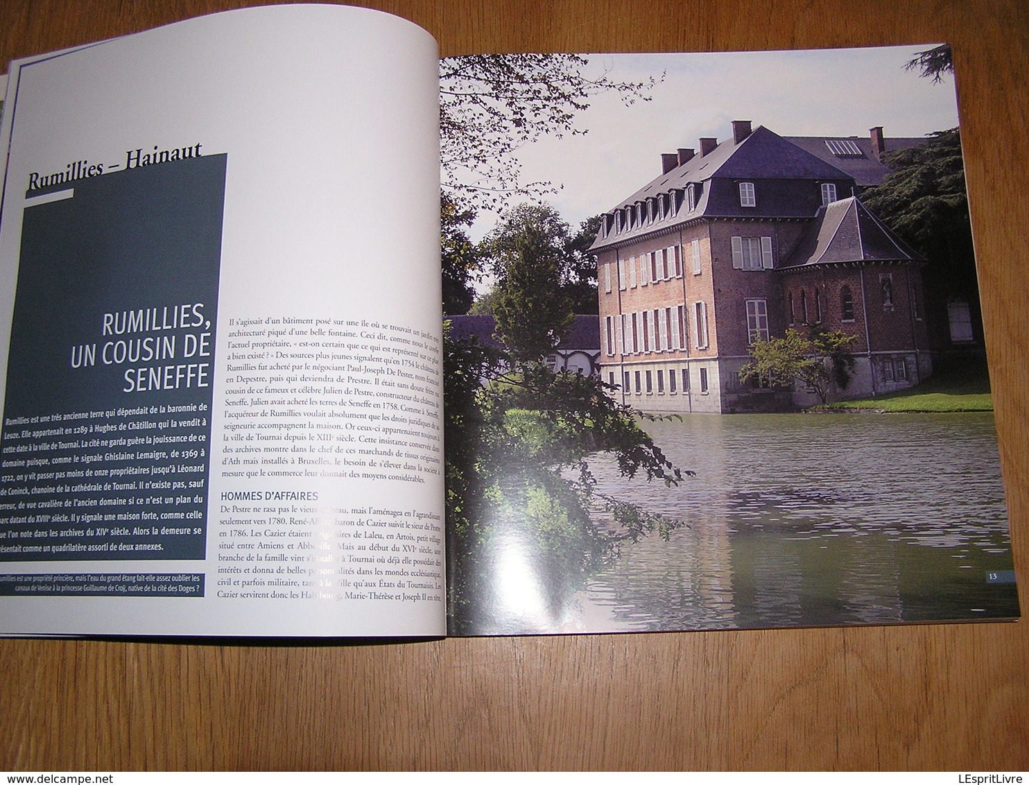 CHATEAUX ET MANOIRS DE CHARME EN BELGIQUE Farcy Régionalisme Ouvignes Attre Vervoz Halloy Sorinnes Godinne Ittre Boussu - Belgium