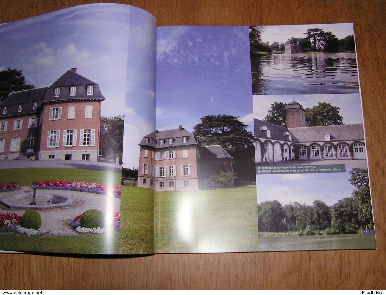 CHATEAUX ET MANOIRS DE CHARME EN BELGIQUE Farcy Régionalisme ouvignes Attre Vervoz Halloy Sorinnes Godinne Ittre Boussu