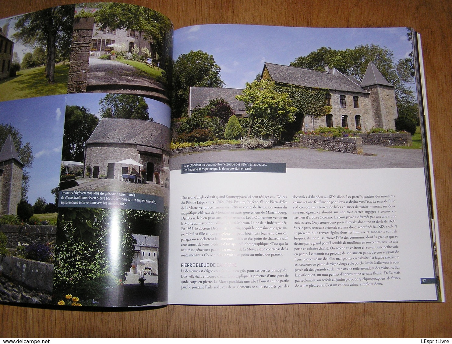 CHATEAUX ET MANOIRS DE CHARME EN BELGIQUE Farcy Régionalisme ouvignes Attre Vervoz Halloy Sorinnes Godinne Ittre Boussu