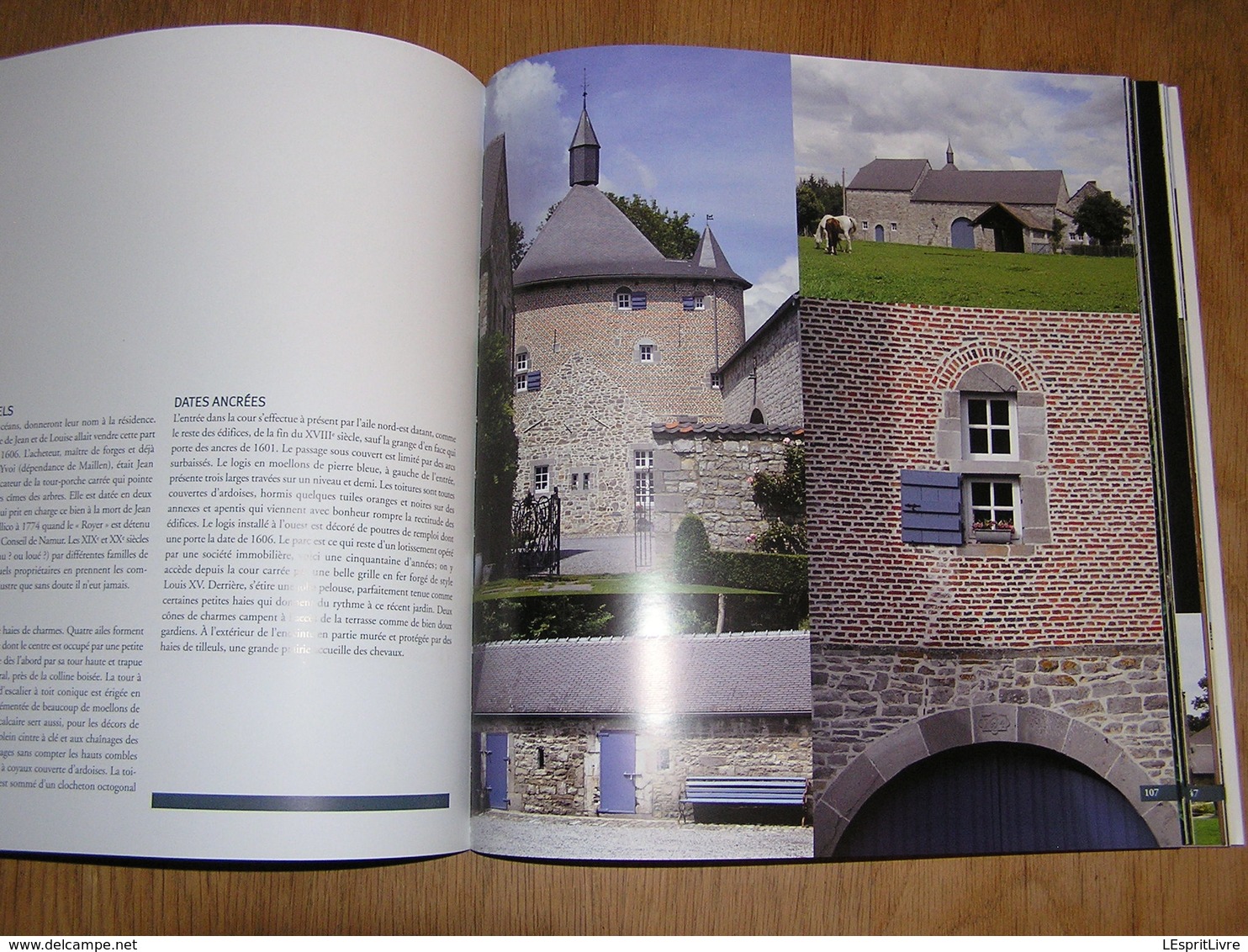 CHATEAUX ET MANOIRS DE CHARME EN BELGIQUE Farcy Régionalisme ouvignes Attre Vervoz Halloy Sorinnes Godinne Ittre Boussu