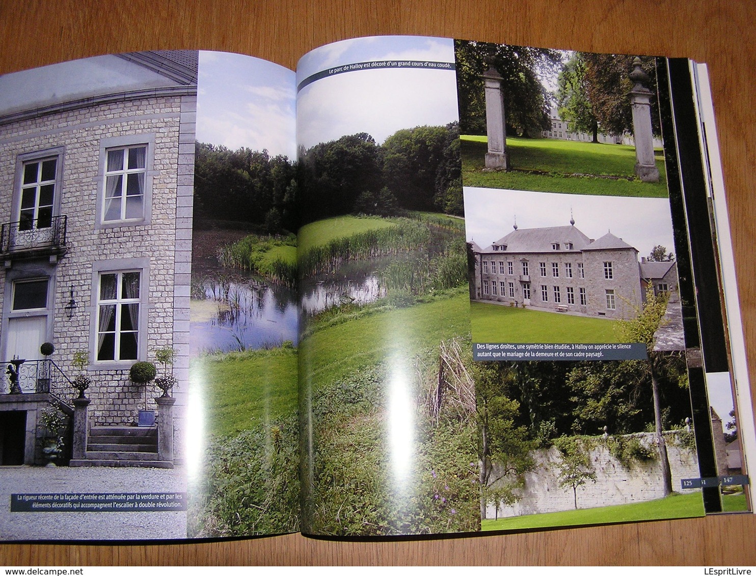 CHATEAUX ET MANOIRS DE CHARME EN BELGIQUE Farcy Régionalisme ouvignes Attre Vervoz Halloy Sorinnes Godinne Ittre Boussu