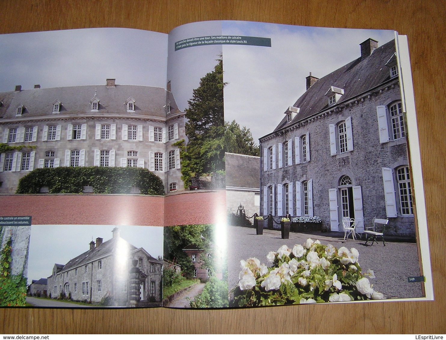 CHATEAUX ET MANOIRS DE CHARME EN BELGIQUE Farcy Régionalisme ouvignes Attre Vervoz Halloy Sorinnes Godinne Ittre Boussu