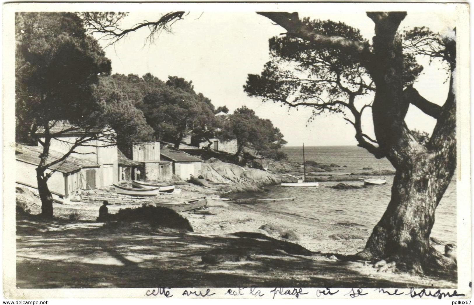 CPSM LE LAVANDOU  (VAR)  PLAGE DE LA FAVIERE - Le Lavandou