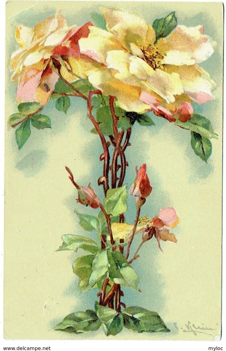 Illustrateur : Klein. Roses. - Klein, Catharina