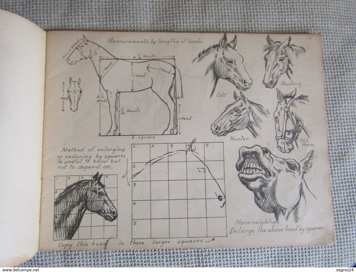 Drawing Horses by Victor Perard 1st Edition 1944 Pitman Publishing New York