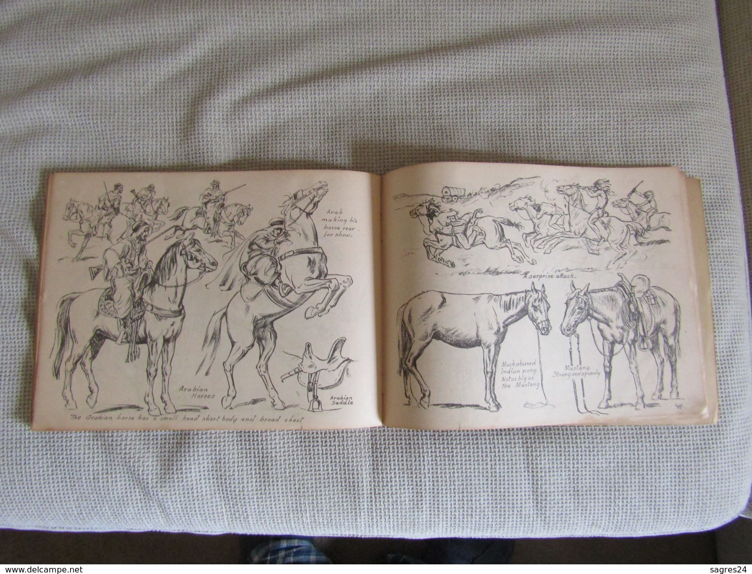 Drawing Horses by Victor Perard 1st Edition 1944 Pitman Publishing New York