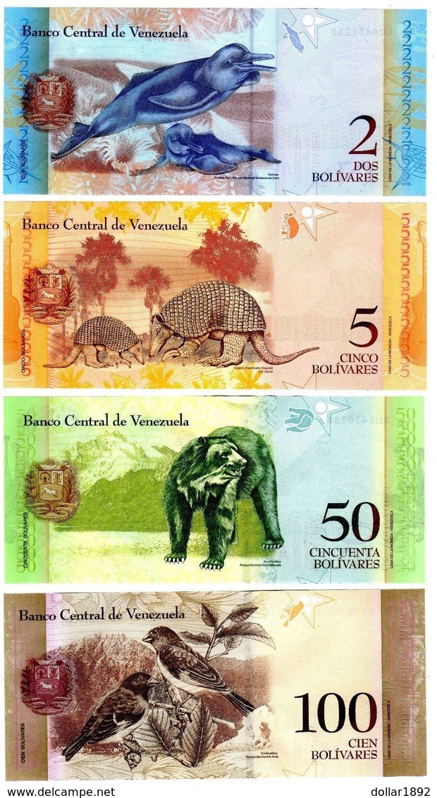 LOTE CONJUNTO 4 BILLETES BOLÍVARES DE VENEZUELA ANIMALES DELFÍN OSOS PÁJARO UNC - Otros – América