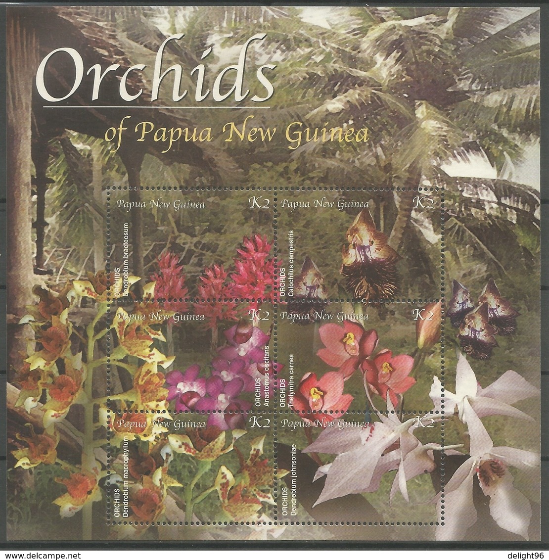 2002 Papua New Guinea Orchids Set, Minisheet And Souvenir Sheet (** / MNH / UMM) - Orchids