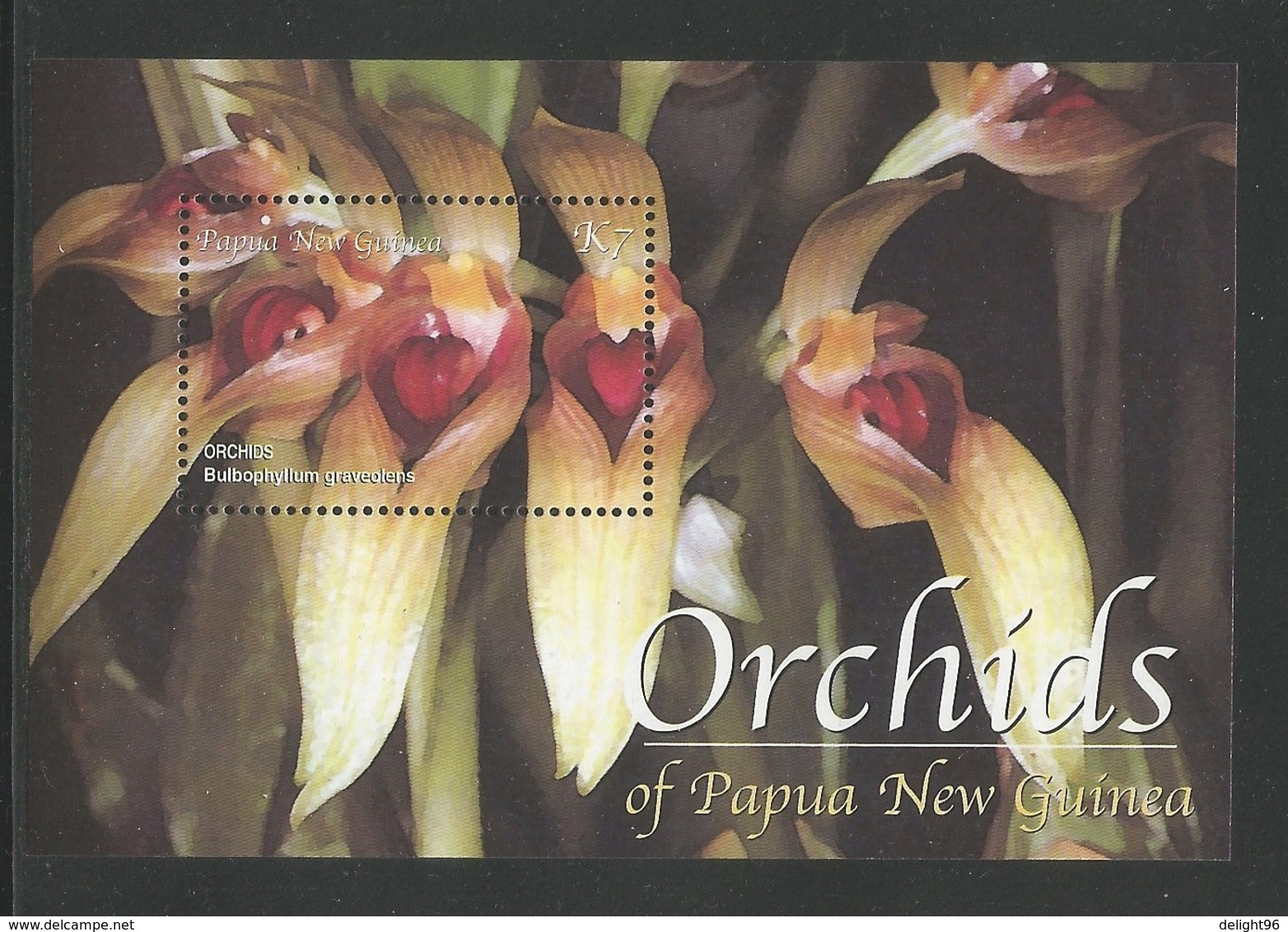 2002 Papua New Guinea Orchids Set, Minisheet And Souvenir Sheet (** / MNH / UMM) - Orchideen