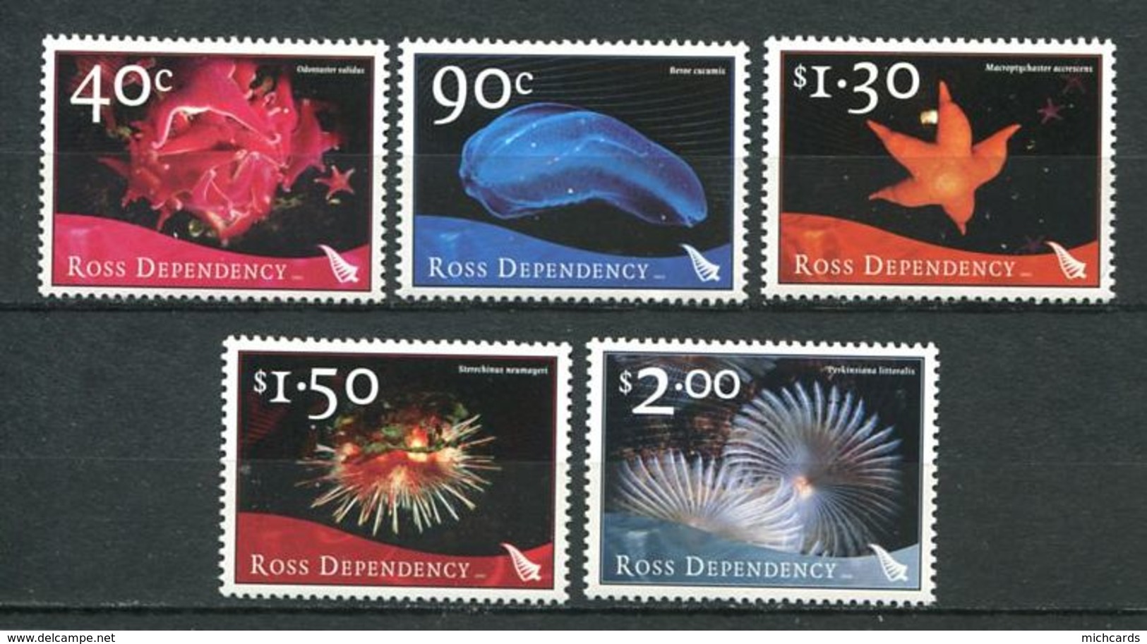 240 TERRE DE ROSS (Nle Zelande) 2003 - Yvert 90/94 - Oursin Etoile De Mer Ver ... - Neuf ** (MNH) Sans Charniere - Neufs