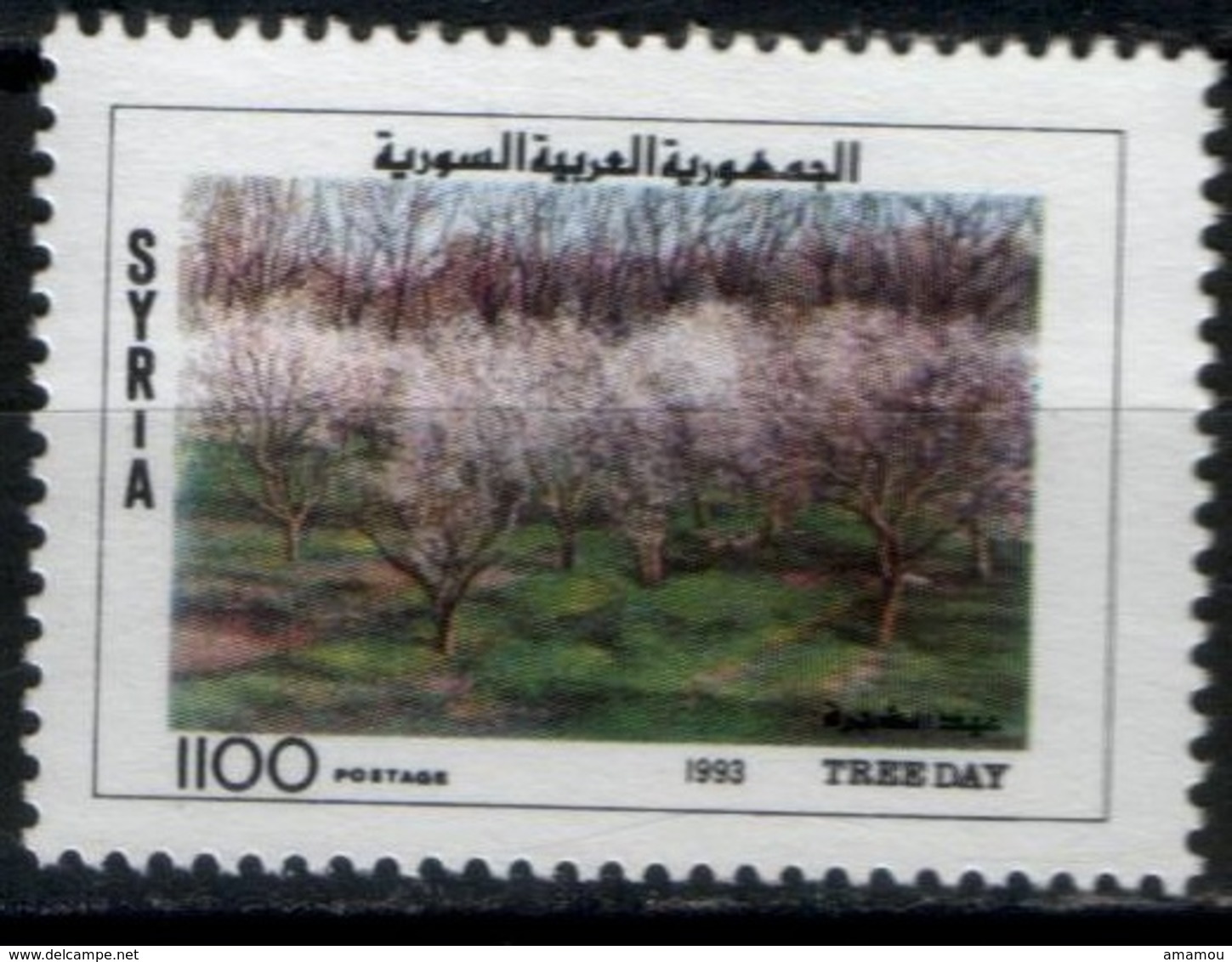 1994-Syria-Tree Day-  MNH** - Siria