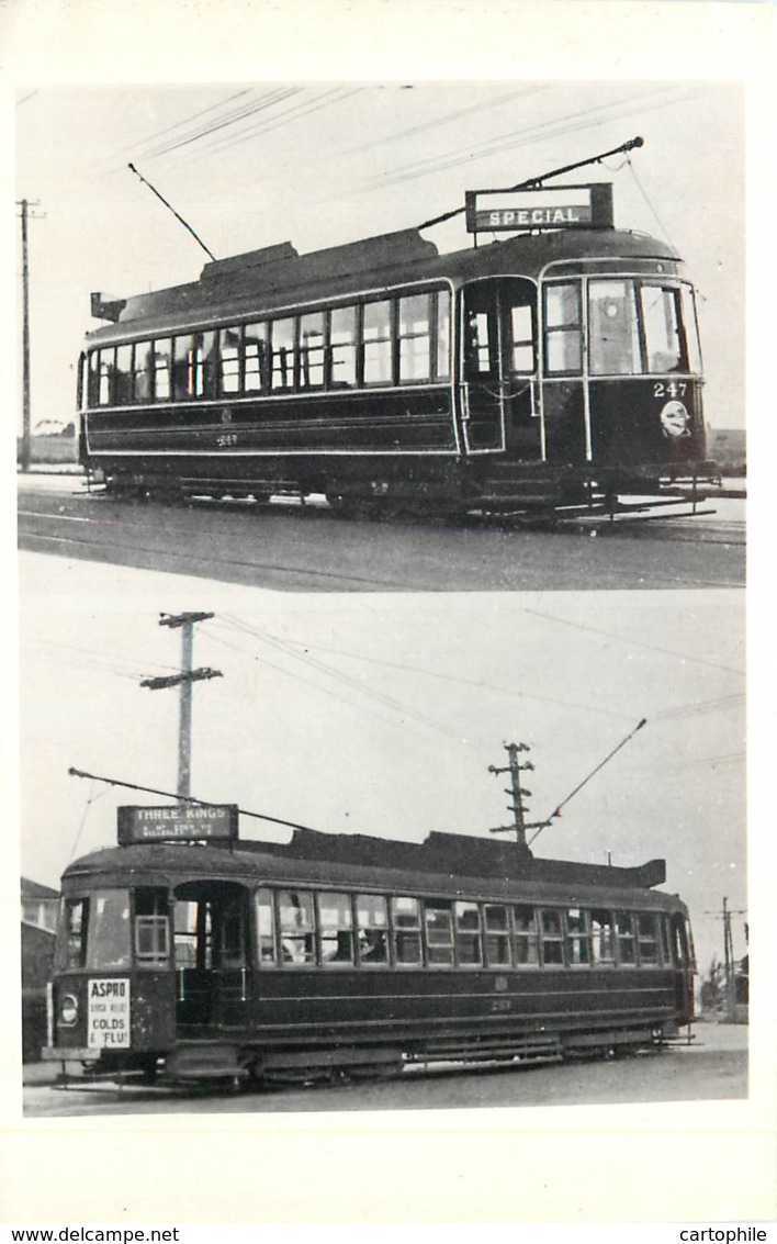 New Zealand - Photo Format Old Postcard - Tramway From Auckland - Neuseeland