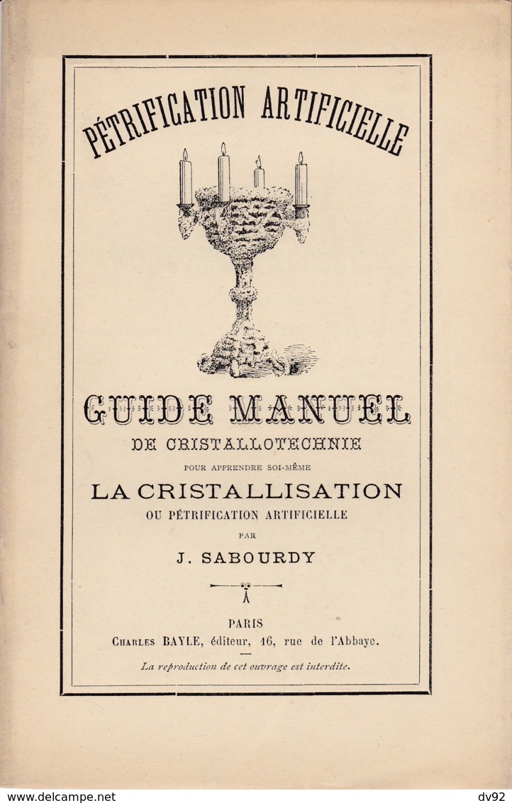 GUIDE MANUEL DE CHRISTALLOTECHNIE POUR APPRENDRE SOI MEME LA CRISTALLISATION OU PETRIFICATION ARTICICIELLE - Bricolage / Technique