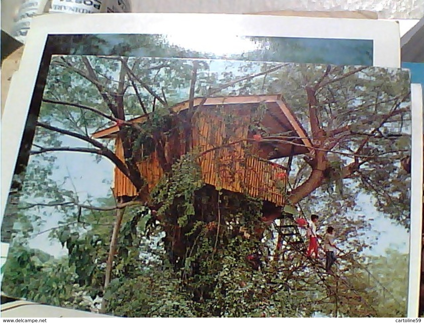 PHLIPPINE  FILIPPINE  A TREE  HOUSE ZAMBOANGA  CITY PASONANGA PARK  STAMP TIMBRE SELO 3,5 GX5768 - Filippine