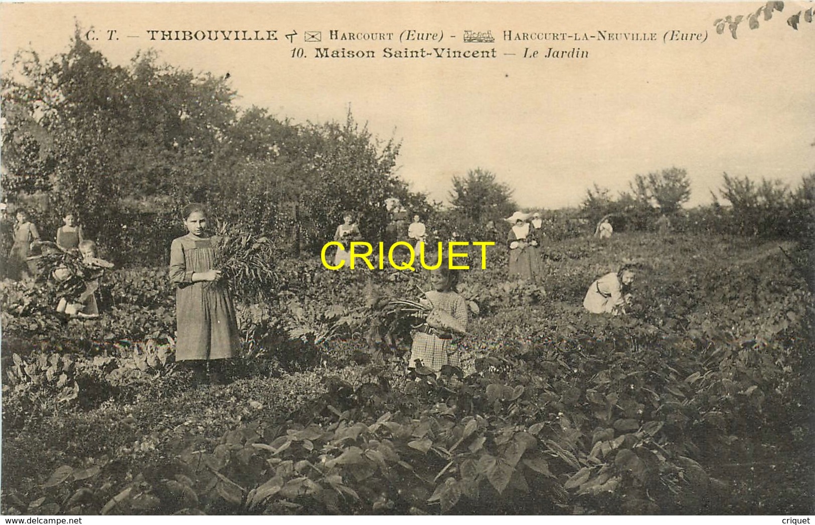 27 Thibouville, Maison St Vincent, Le Jardin, Voir Fillettes Qui Ramassent Des Légumes - Other & Unclassified