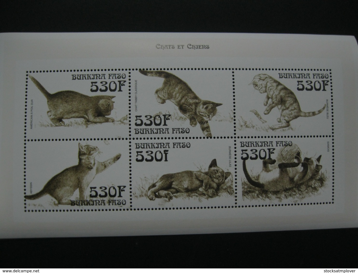 Burkina Faso 1999 Fauna Cats Sheetlet  SCOTT No.1148 I201807 - Burkina Faso (1984-...)