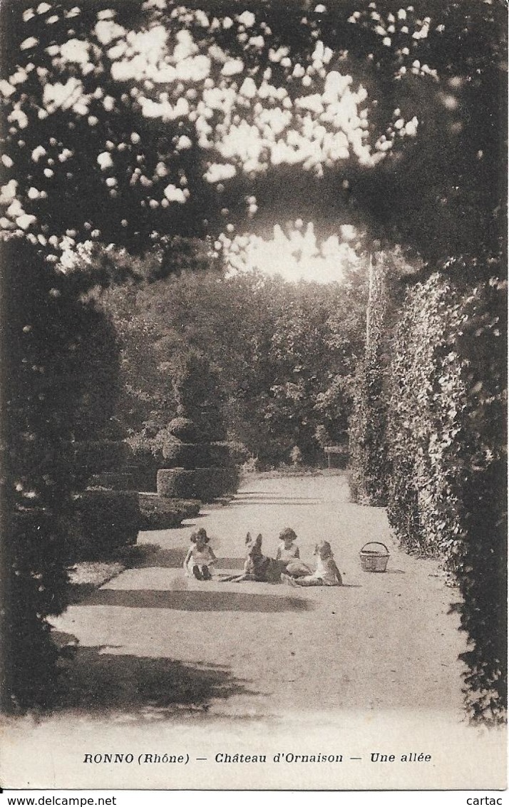 D69 - RONNO - CHATEAU D'ORNAISON  - UNE ALLEE - Enfants Assis Dans L'allée Avec Un Chien Berger Allemand - Autres & Non Classés