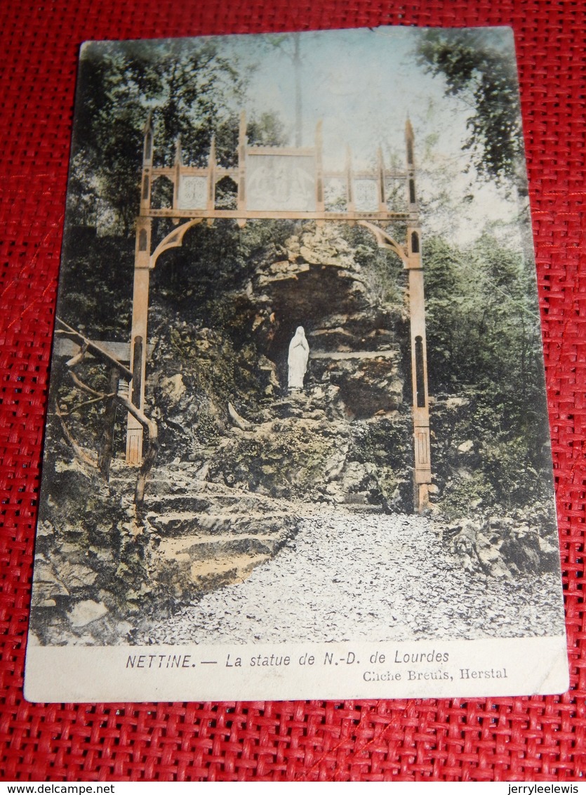 NETTINE  -  La Statue De N. D. De Lourdes - Somme-Leuze