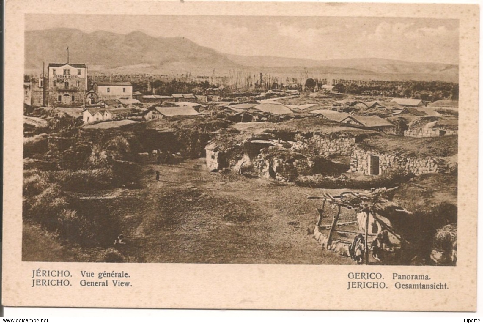 L74A827 - Jéricho - Gerico - Vue Générale - Panorama - A.Attallah Frères Jérusalem - Jordanie