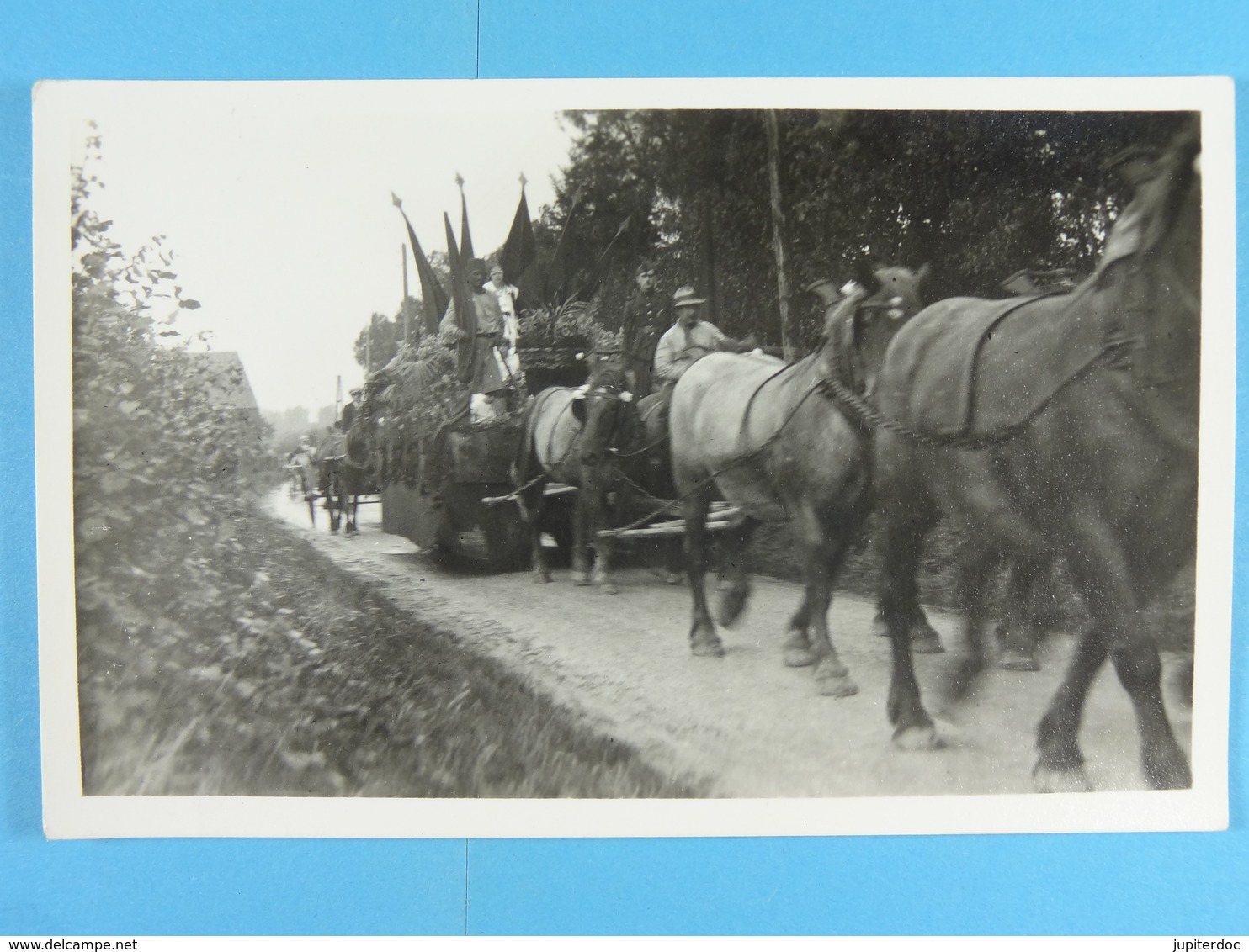 5 Cartes Photos D'un Cortège - A Identifier