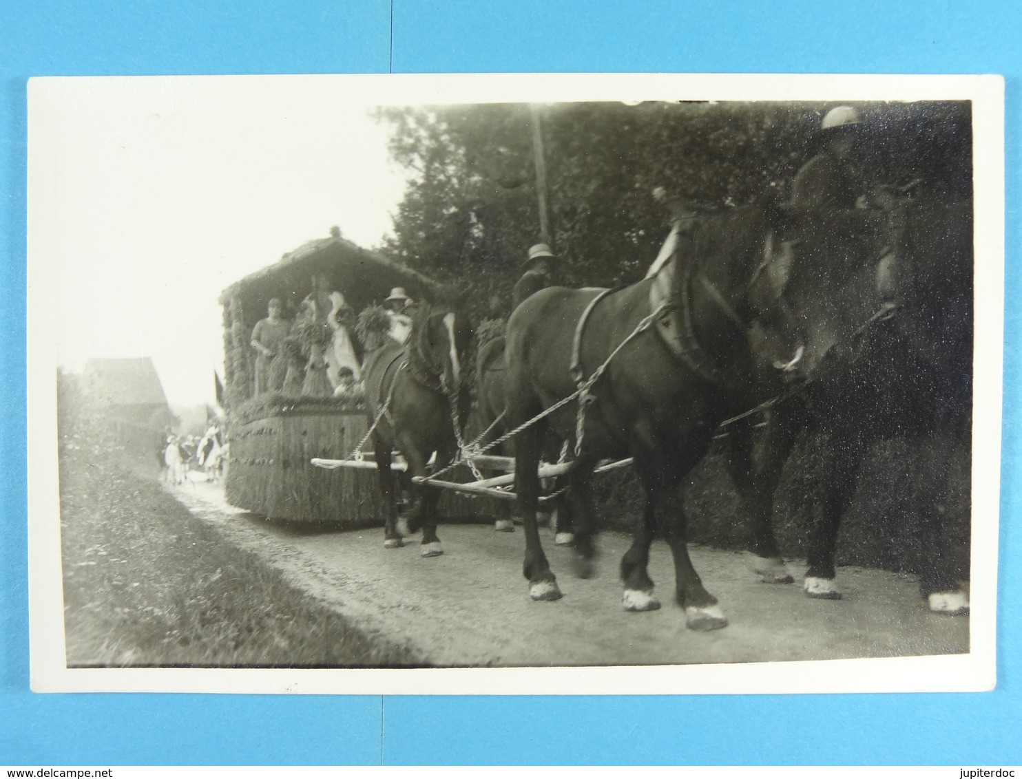 5 Cartes Photos D'un Cortège - A Identifier