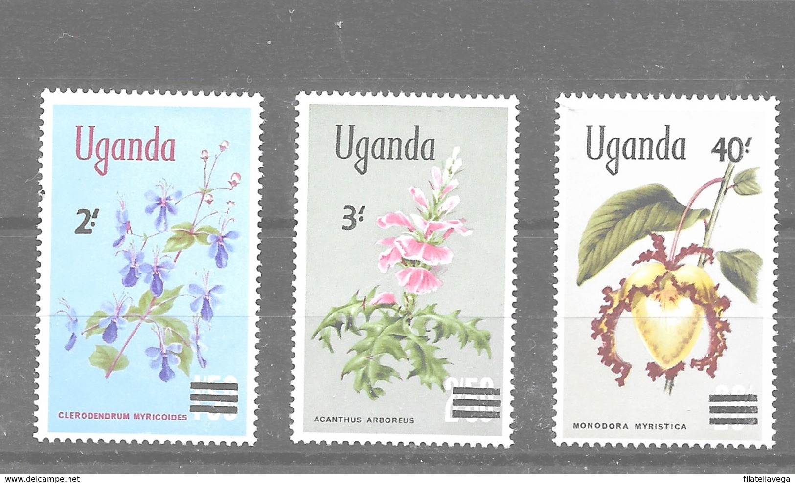 Serie De Uganda Nº Yvert 111/13 **  FLORES (FLOWERS) - Uganda (1962-...)