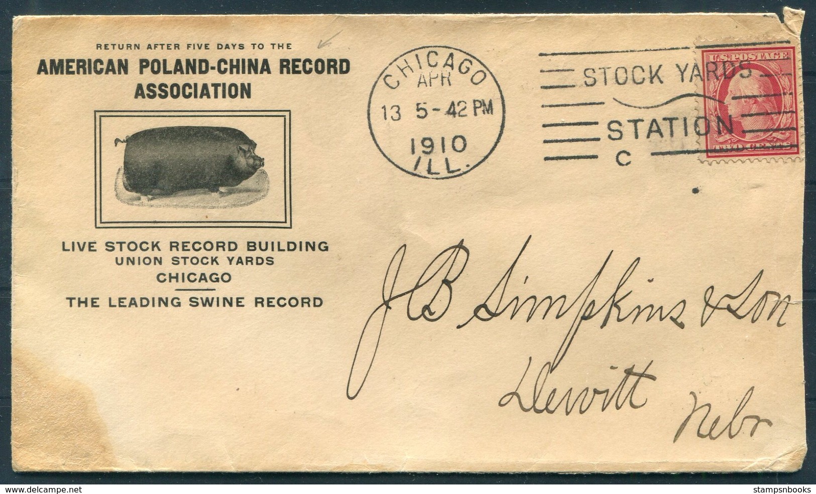 1910 American Poland-China Record Association Pig Hog Swine Advertising Cover. Chicago (Stock Yards Machine Cancel) - Covers & Documents