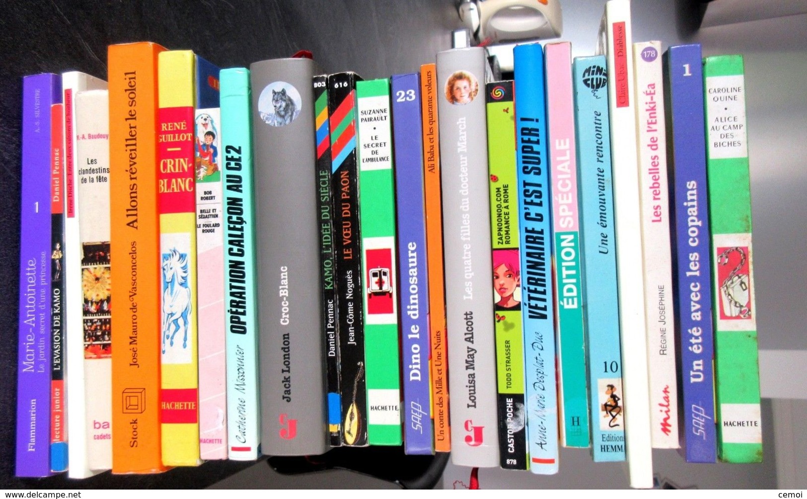 Lot De 23 Livres Pour Enfants De 7 à 12 Ans à 2 Euros ! - Lots De Plusieurs Livres