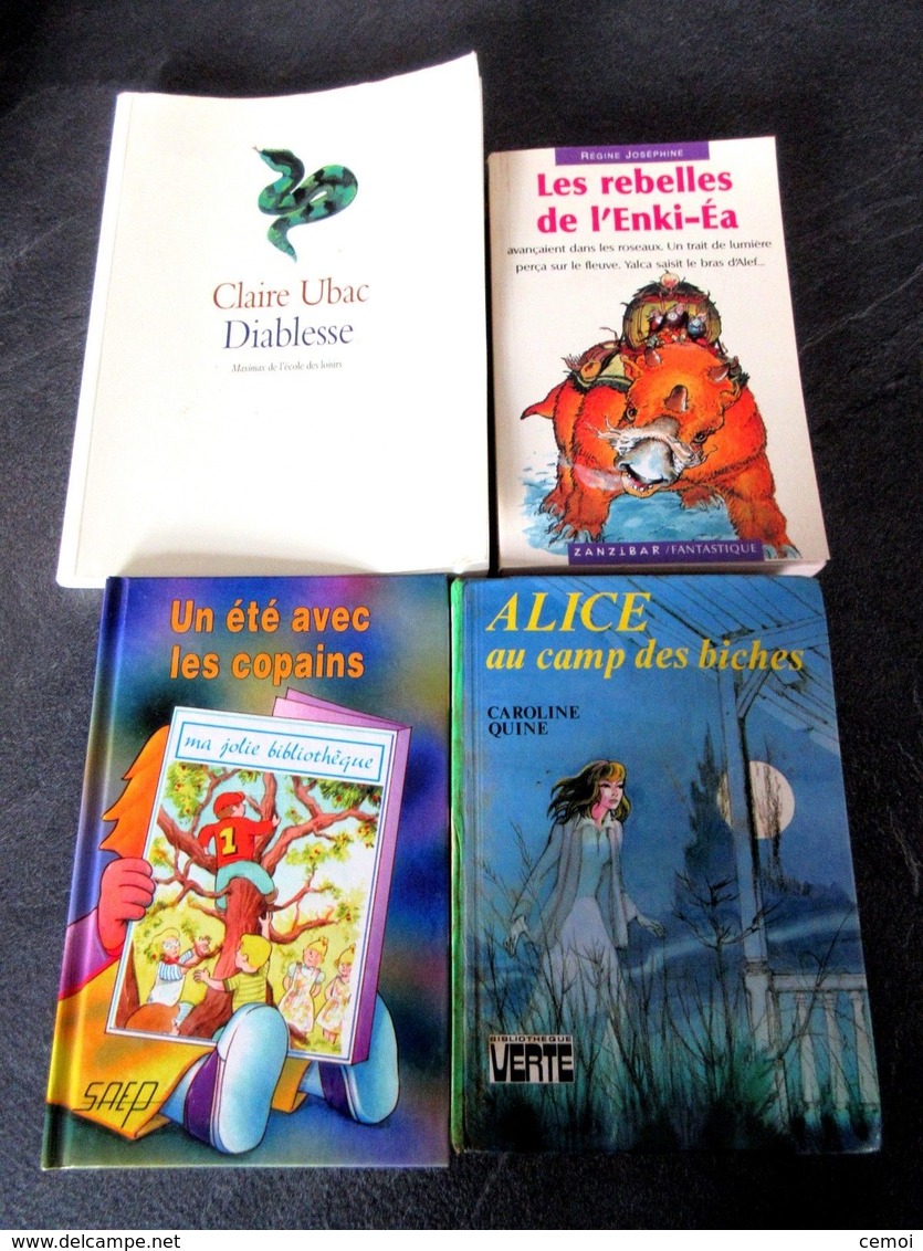 Lot De 23 Livres Pour Enfants De 7 à 12 Ans à 2 Euros ! - Lots De Plusieurs Livres