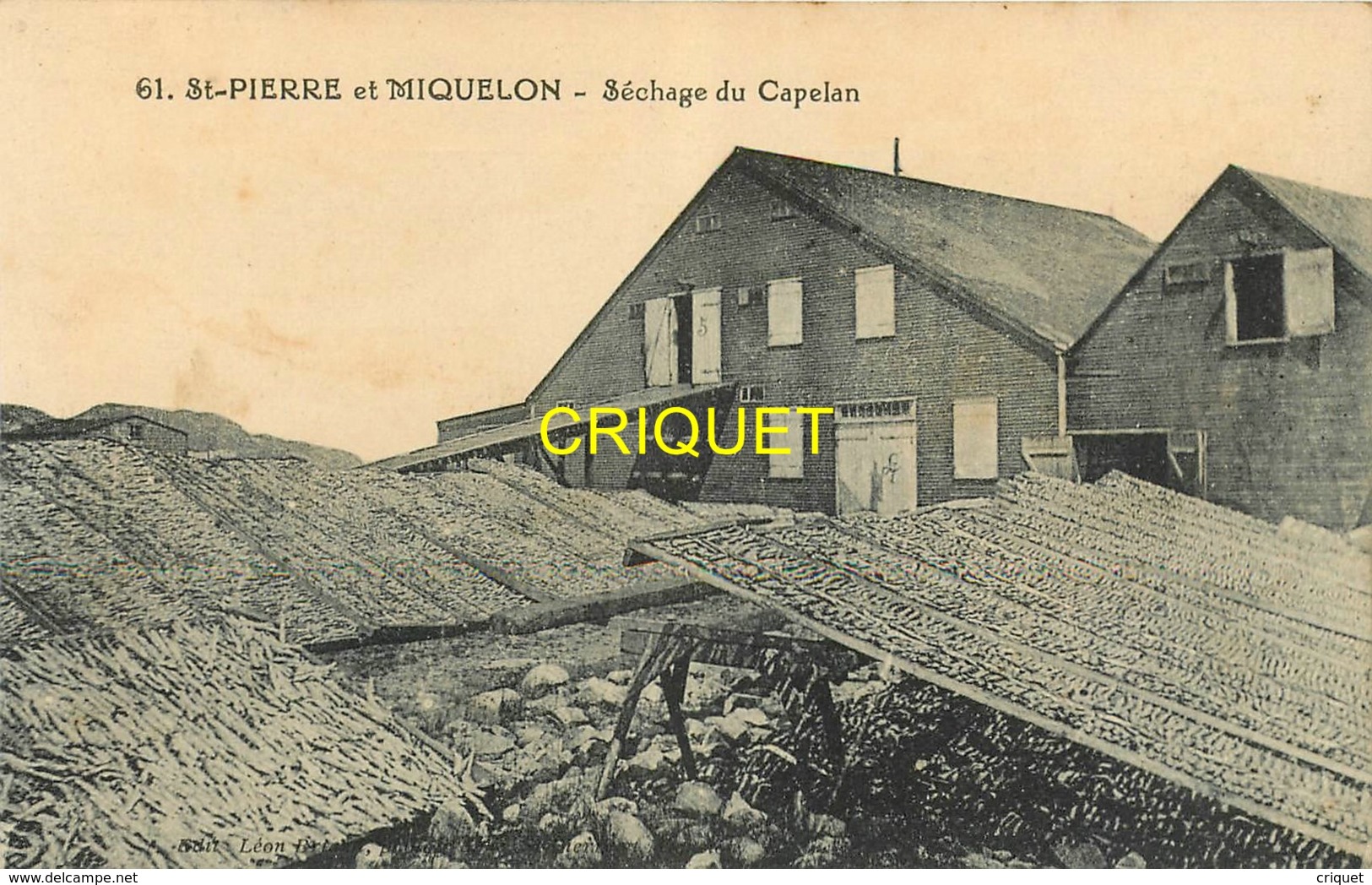 St Pierre Et Miquelon, Séchage Du Capelan, Belle Carte Pas Courante - Saint-Pierre-et-Miquelon