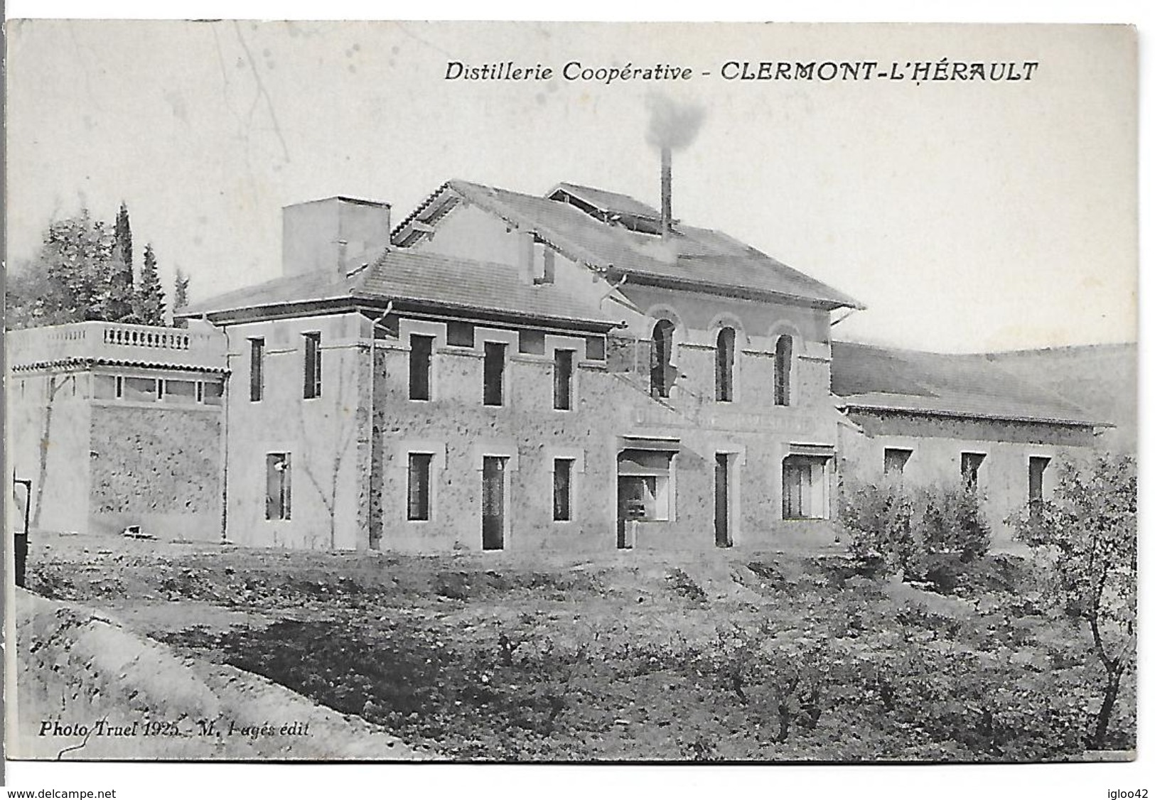 Distillerie Cooperative - CLERMONT-L'HERAULT - Clermont L'Hérault