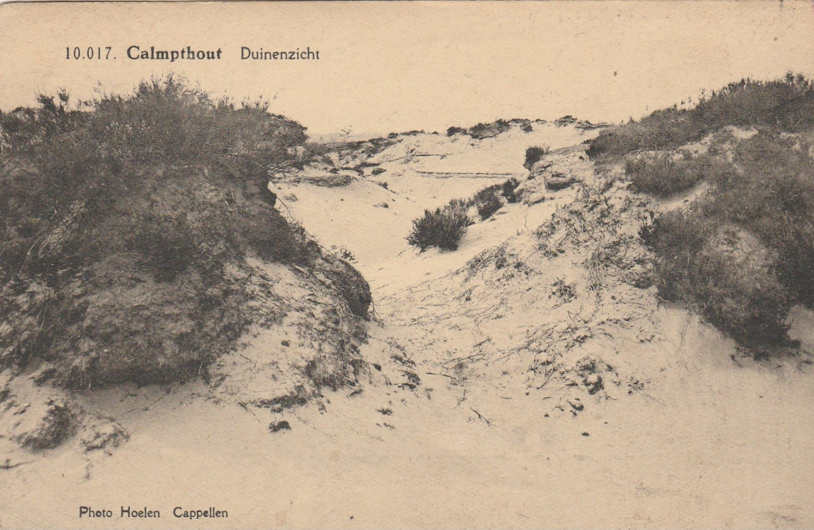 Calmpthout , Duinenzicht  ,(F.Hoelen ,Cappellen , 10017) - Kalmthout