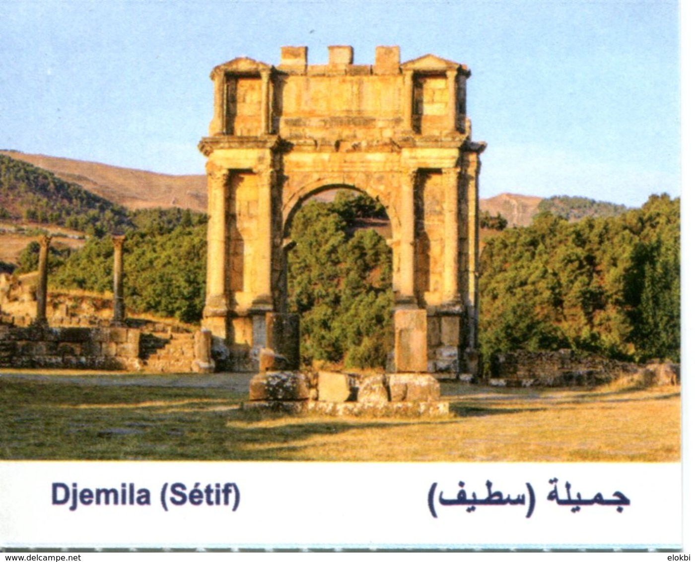 Cité Romaine De Djemila - Parc Archéologique - (Sétif - Algérie) - Tickets D'entrée