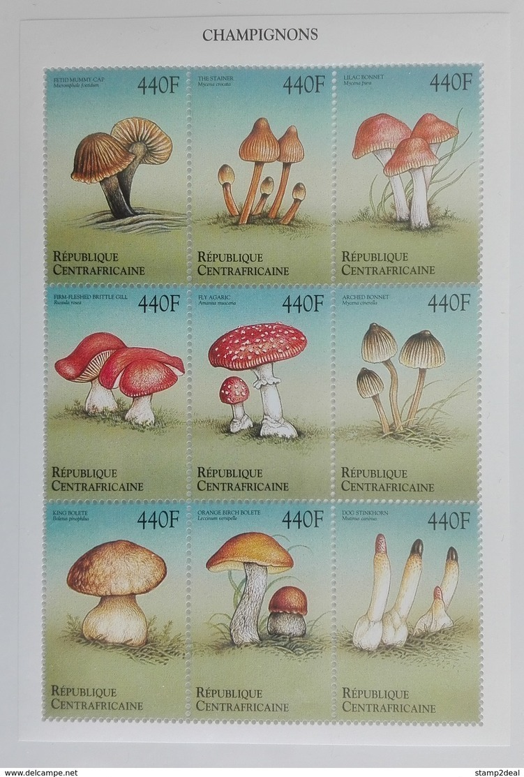 Central Africa 1999** Klb.2302-10. Mushrooms MNH [8;47] - Mushrooms