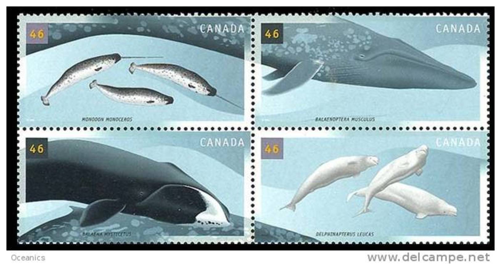 Canada (Scott No.1871a - Baleines / Whales) [**] - Unused Stamps