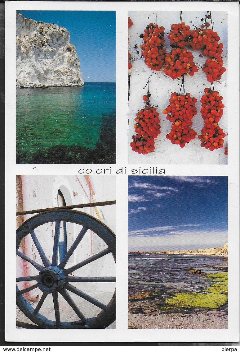 COLORI DELL SICILIA - VIAGGIATA 2001 - Altri & Non Classificati