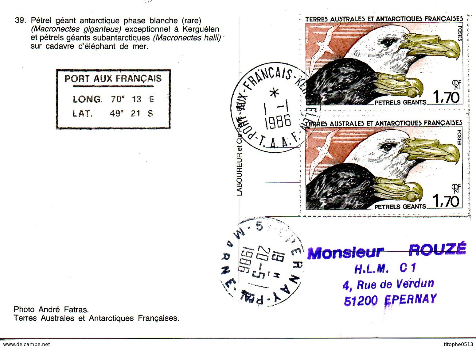 TAAF. N°116 De 1986 Sur Carte. Pétrel Géant. - Antarctic Wildlife