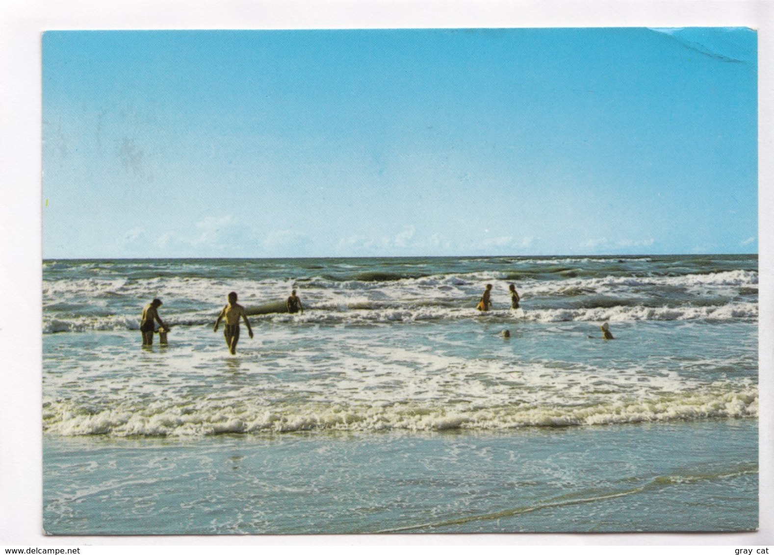 Denmark, Dansk Strandparti, Danish Strand Scenery, 1984 Used Postcard [22242] - Denmark