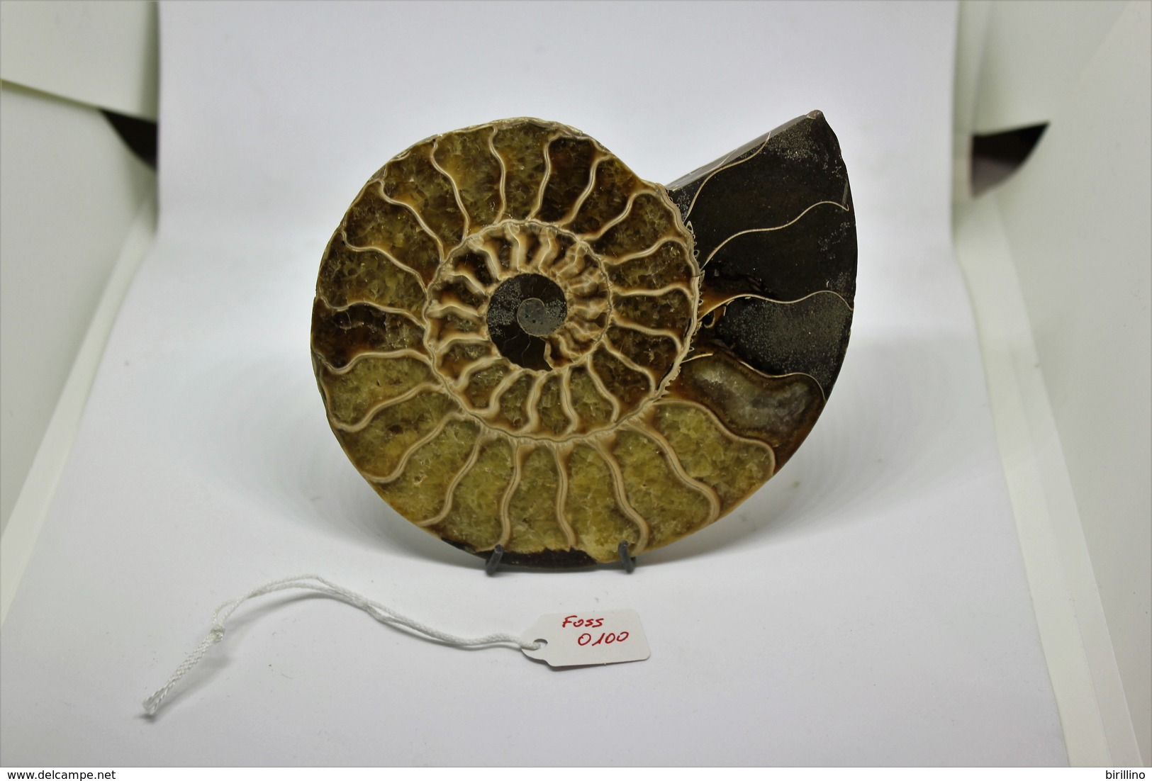 960 - Fossile Di Ammonite - Metà Di Fossile Di Conchiglia - Provenienza Madagascar Peso 230gr - Fossili